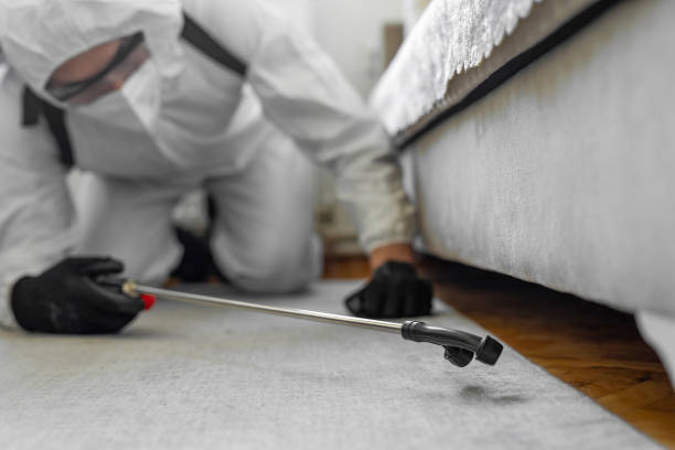 Professional Cockroach Control technician working in Chicago Heights, IL