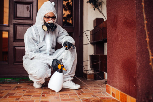 Reliable Cockroach Control contractor in Chicago Heights, IL by Nex Pest Control
