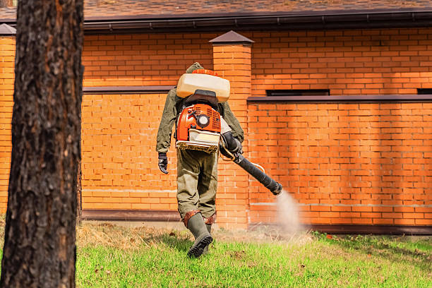 Trusted Ant Control service in Chicago Heights, IL - Nex Pest Control